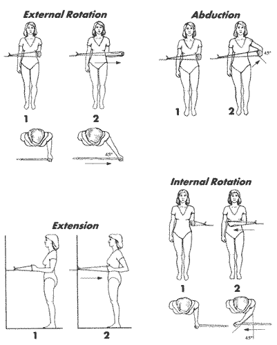 shoulderexercises1.gif